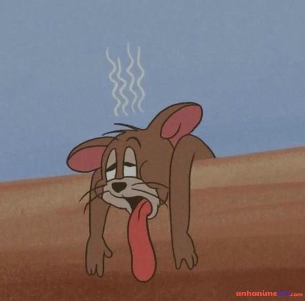 chuột jerry lè lưỡi