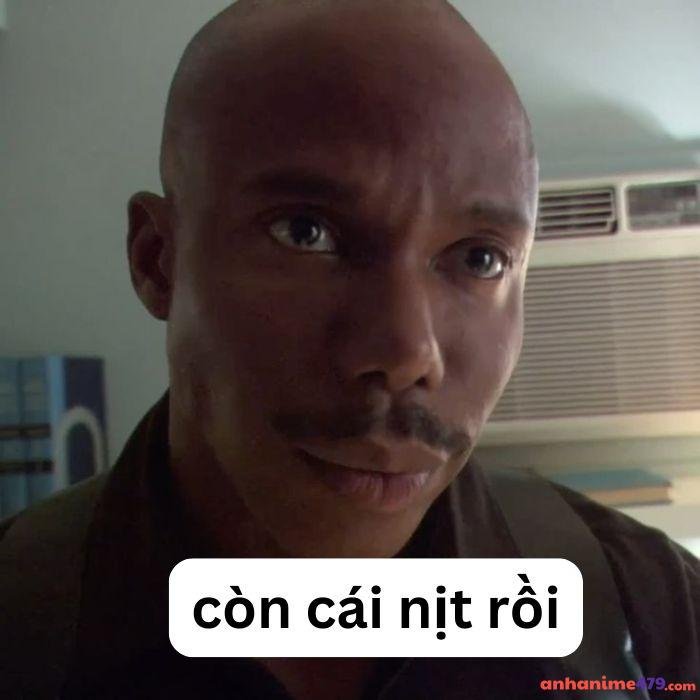 có cái nịt meme version hài bựa