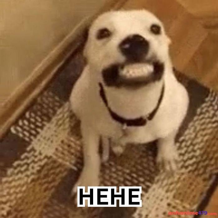 hehe meme ảnh chế