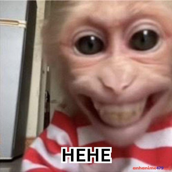 hehe meme hình chế