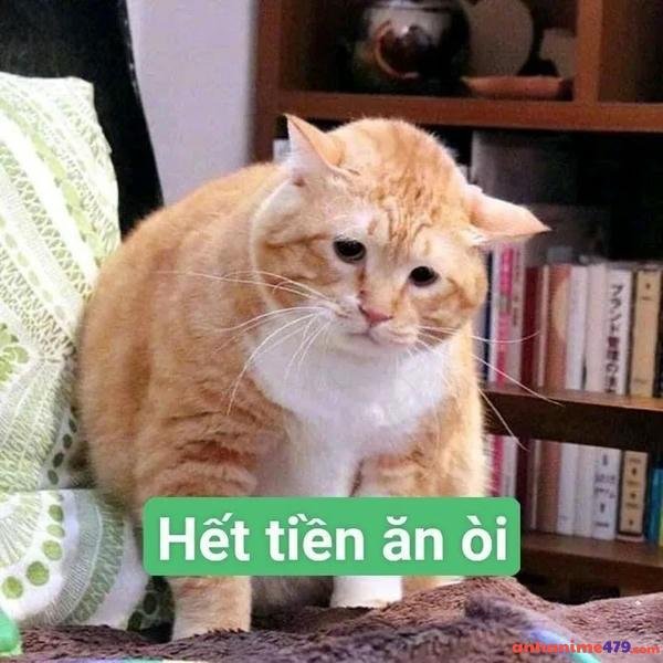 hết tiền ăn