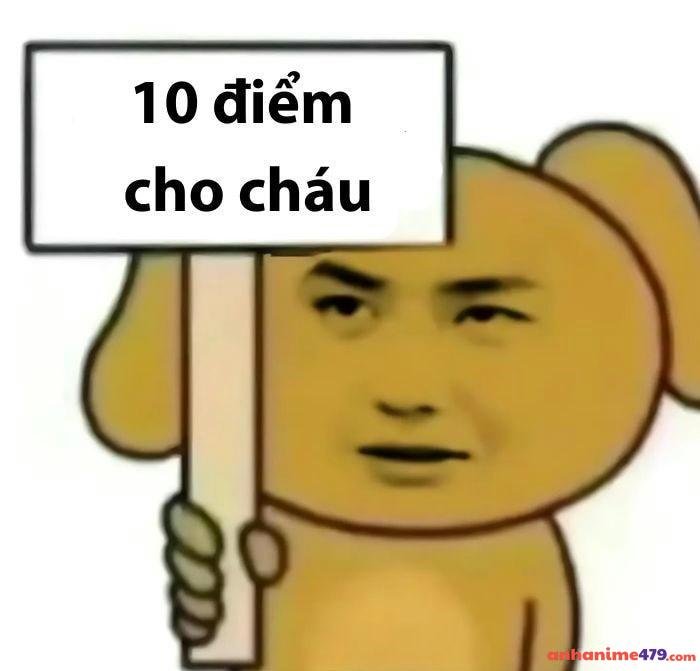 hình 10 điểm meme bựa