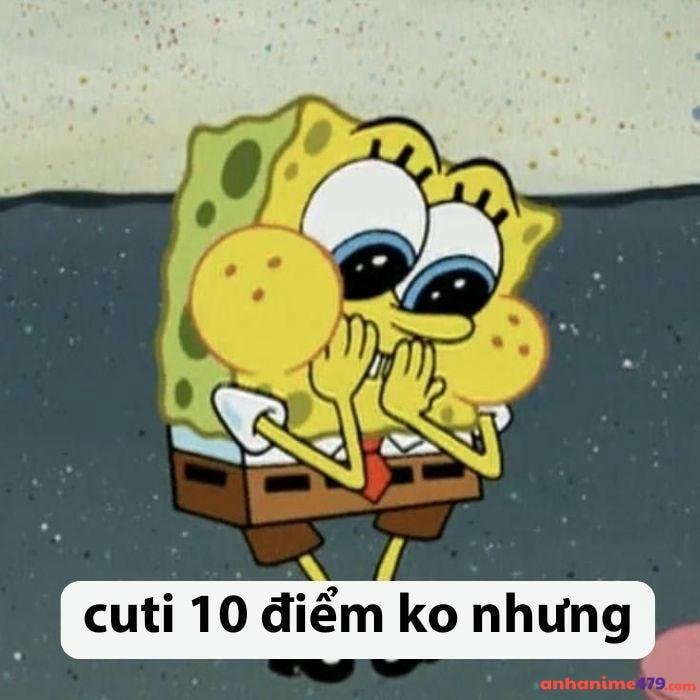 hình 10 điểm meme dễ thương