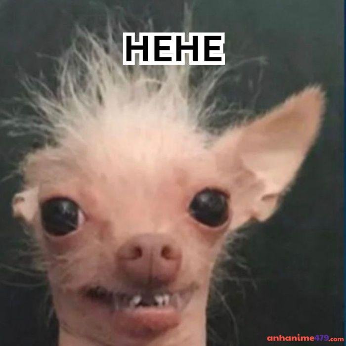 hình ảnh hài hehe meme