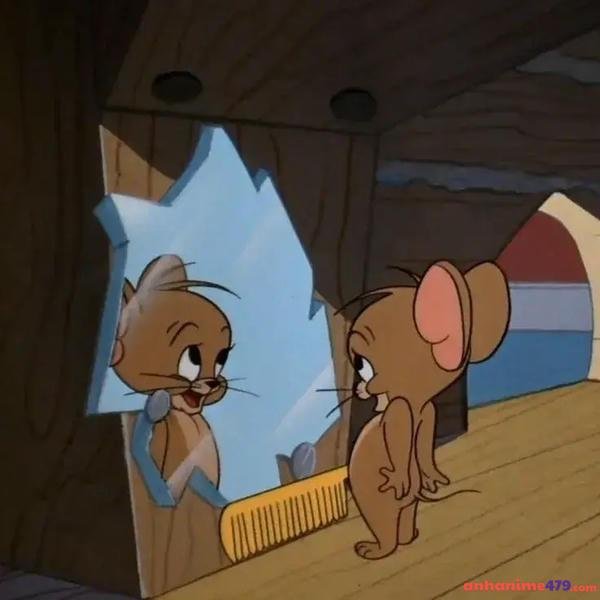 hình ảnh jerry meme soi gương