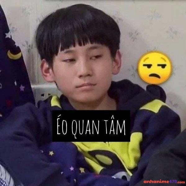 hình ảnh meme bất lực hài hước