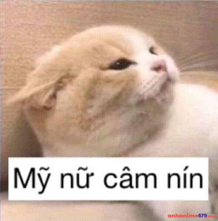 hình ảnh meme cạn lời hài
