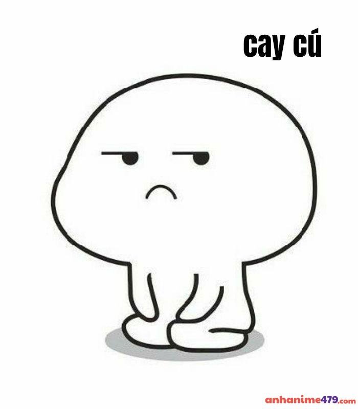 hình ảnh meme cay cú hài
