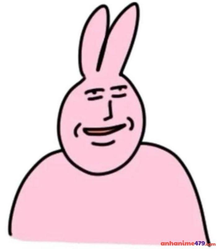 hình ảnh meme dâm thỏ bựa