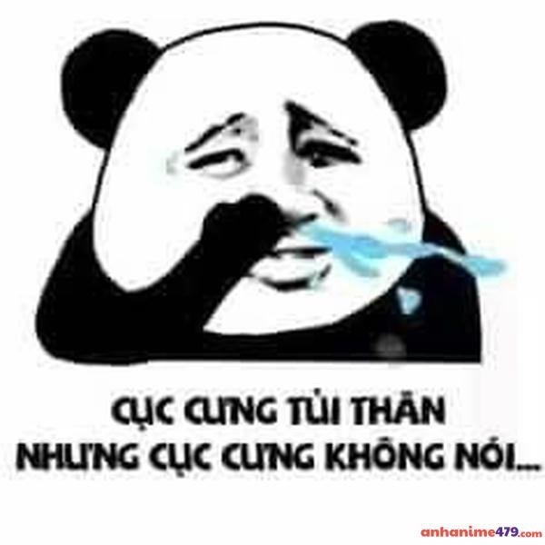 hình ảnh meme gấu trúc khóc