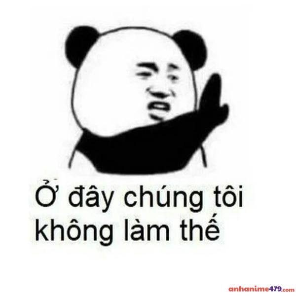 hình ảnh meme hài