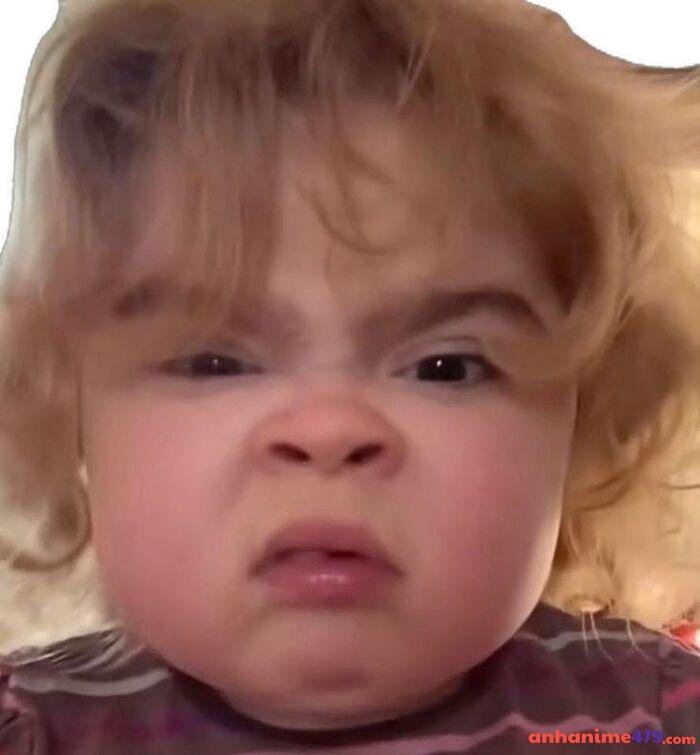 hình ảnh meme hoang mang hài