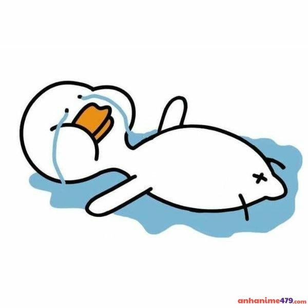 hình ảnh meme khóc