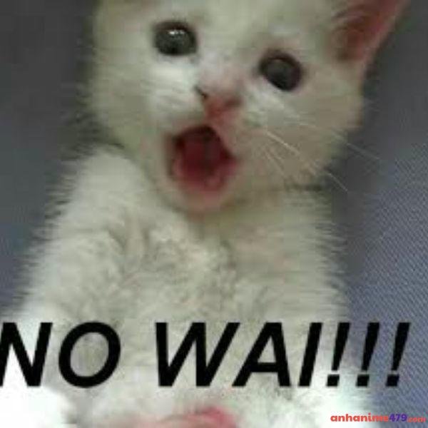 hình ảnh meme ngạc nhiên chế