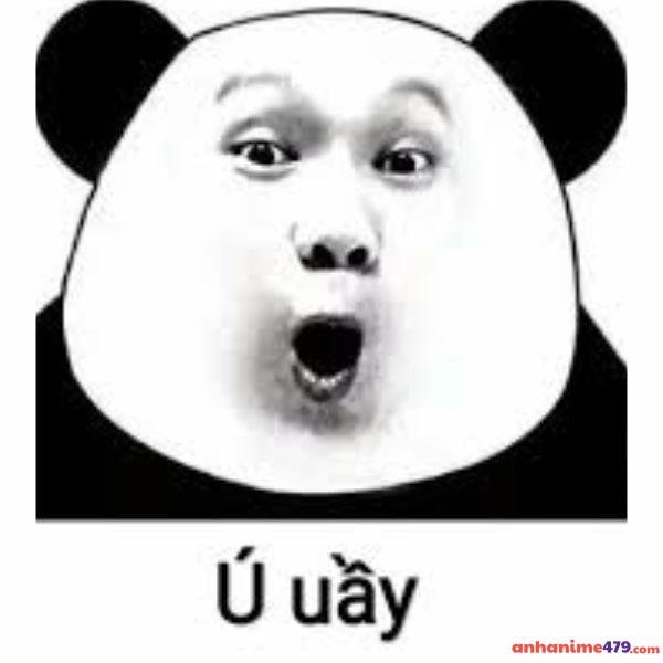 hình ảnh meme ngạc nhiên cực hài