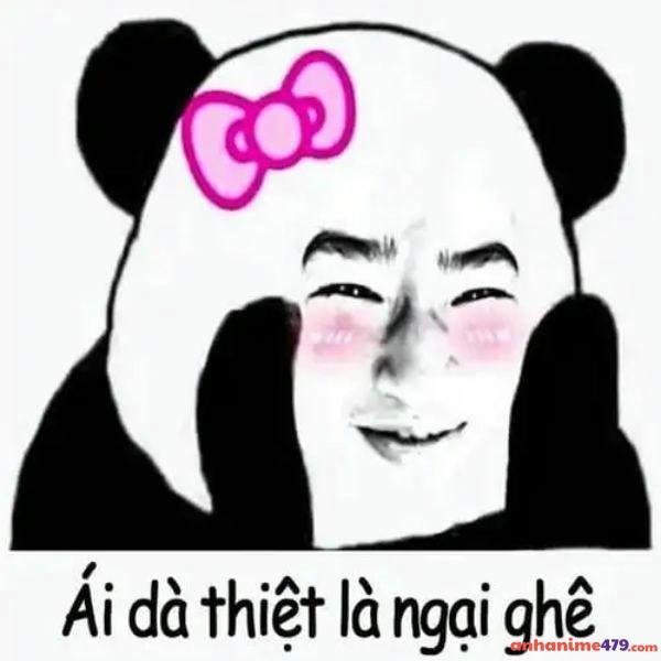hình ảnh meme ngại chế