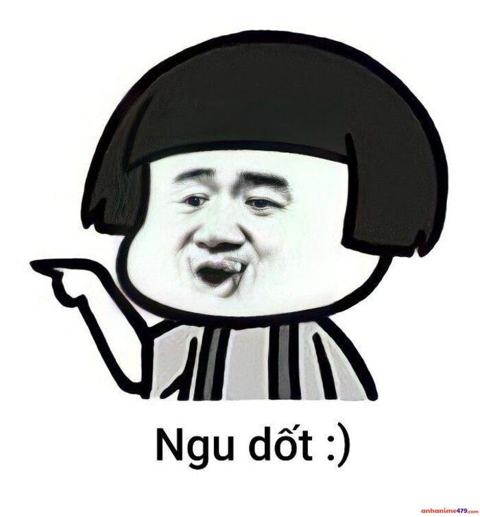 hình ảnh meme ngu bựa