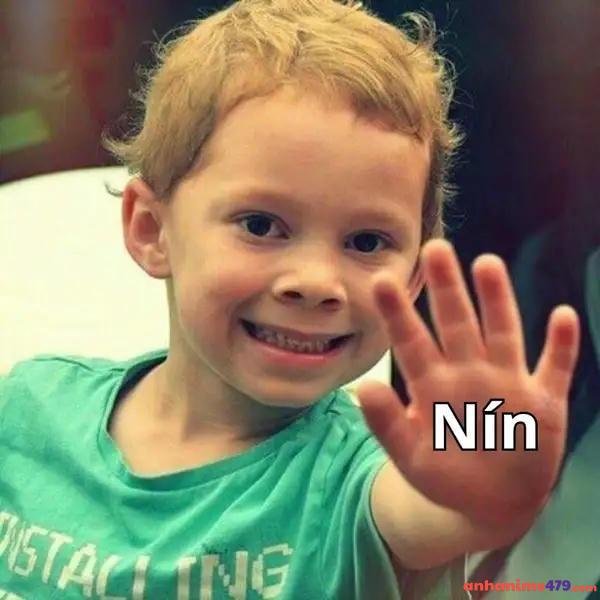 hình ảnh meme nín
