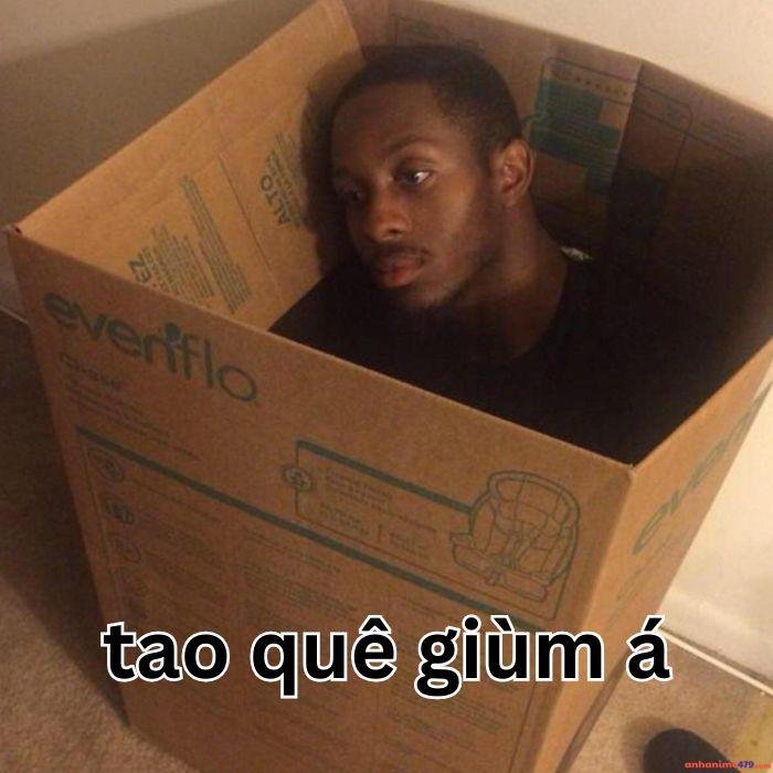 hình ảnh meme quê bựa