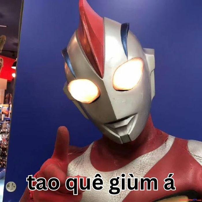 hình ảnh meme quê