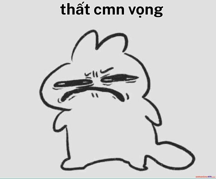 ảnh meme – 7