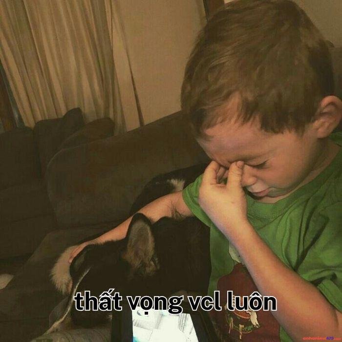 hình ảnh meme thất vọng