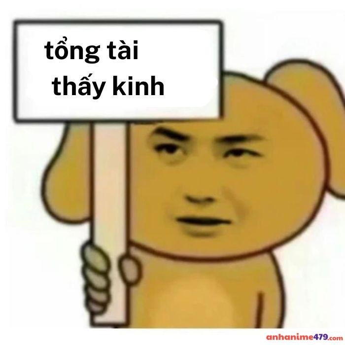 hình ảnh meme tổng tài chó