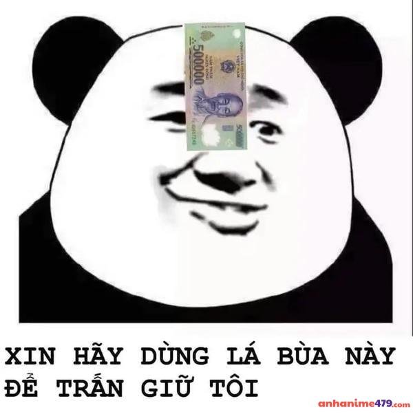 hình ảnh meme xin tiền dễ thương