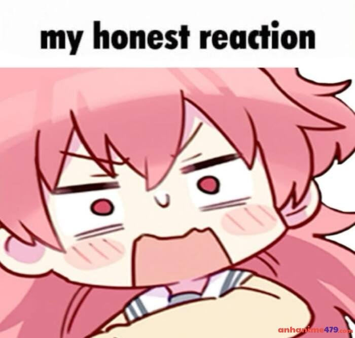 hình ành momoi meme cute