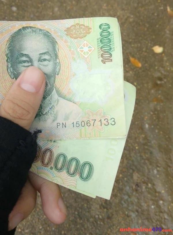 hình chế meme xin tiền đáng yêu