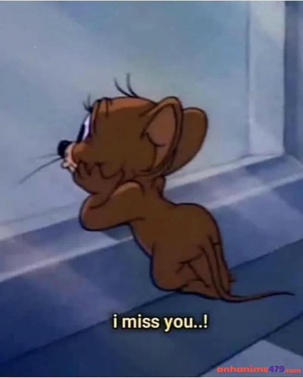 hình con chuột jerry meme