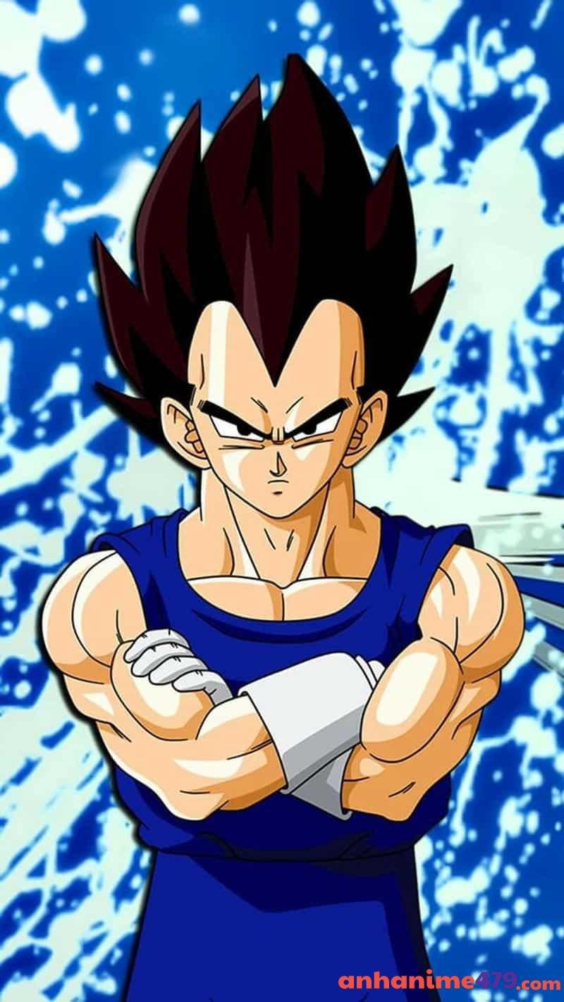 hình đẹp Vegeta