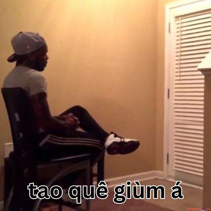 hình hài meme quê