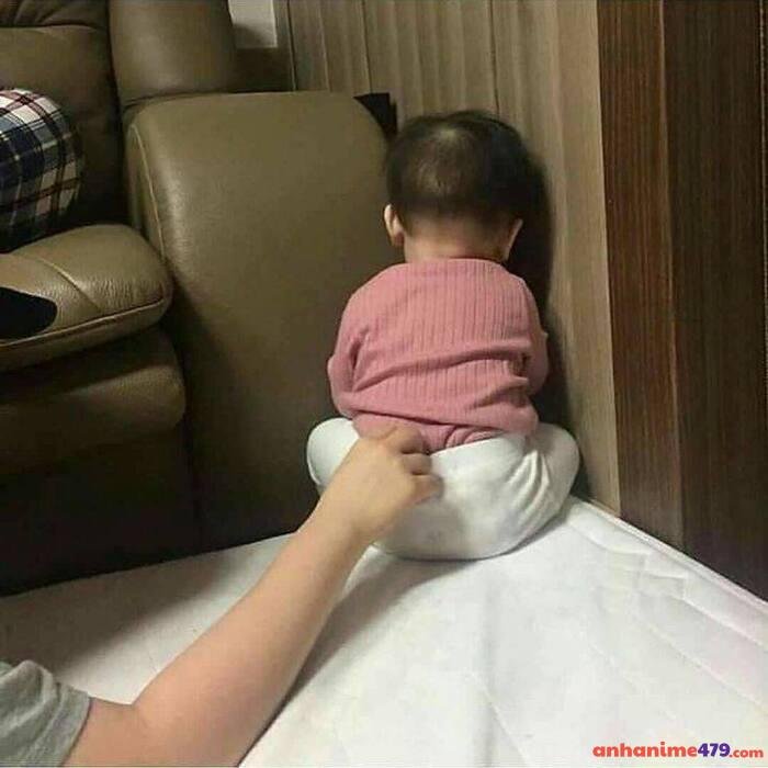 hình meme chán hài