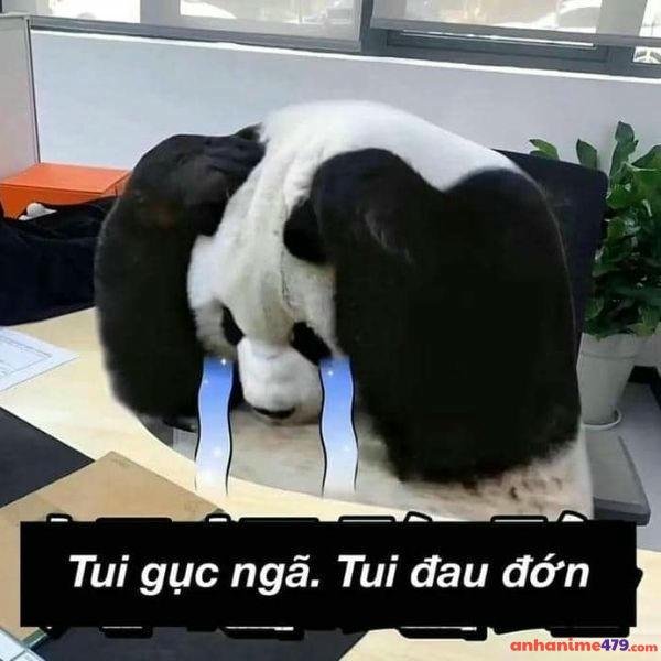 hình meme khóc bựa