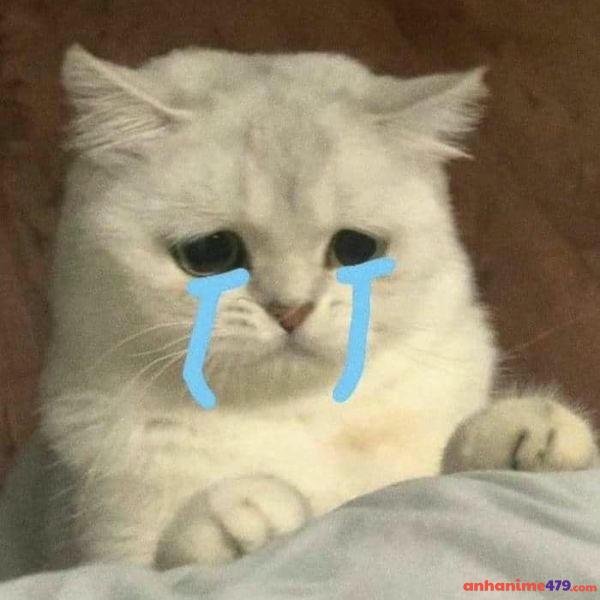 hình meme khóc hài hước