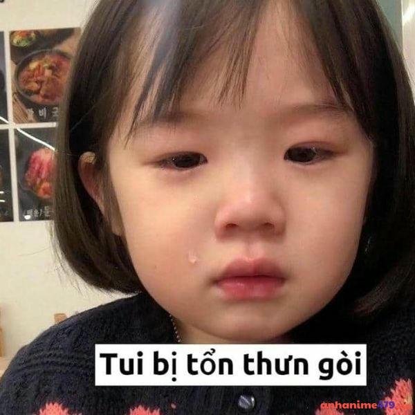 hình meme khóc