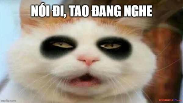 hình meme mất ngủ hot nhất