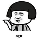 hình meme ngu cực hài nhất