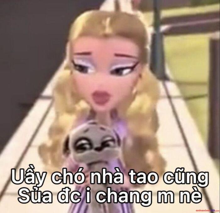 hình meme ngu hài
