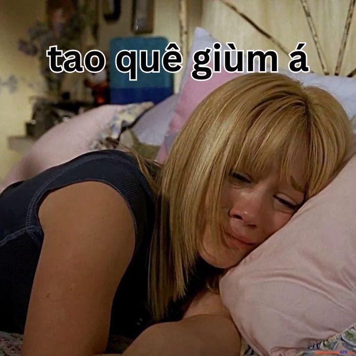 hình meme quê hài nhất