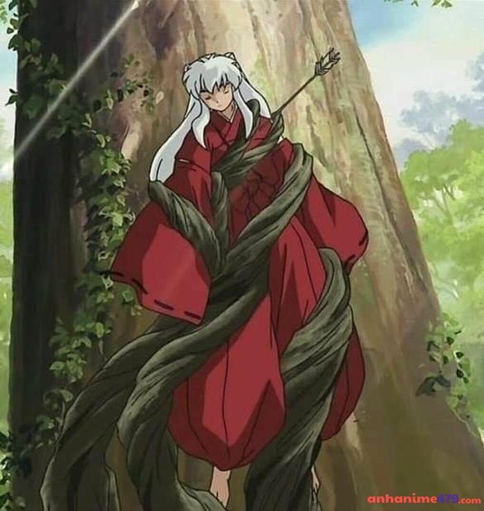 inuyasha và kagome