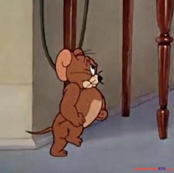 jerry meme troll hai