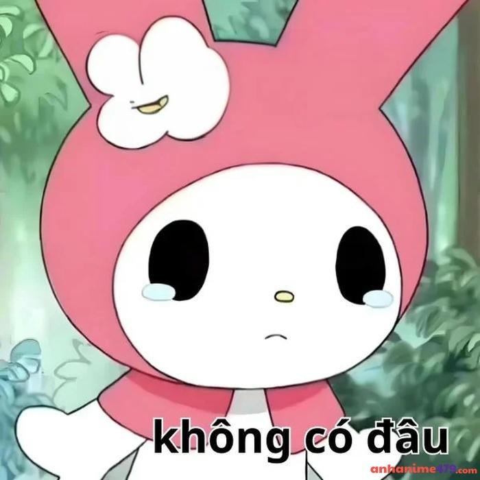 khong có đâu meme 8k