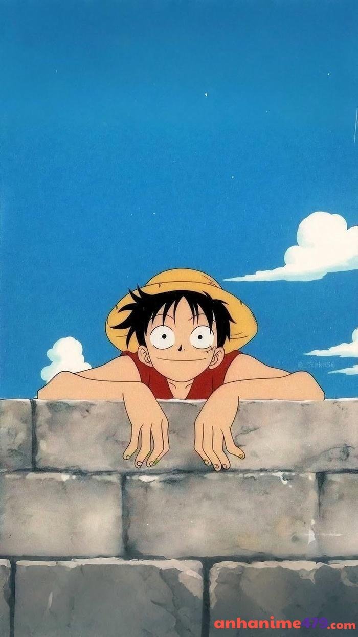 luffy one piece chiến đấu mạnh mẽ