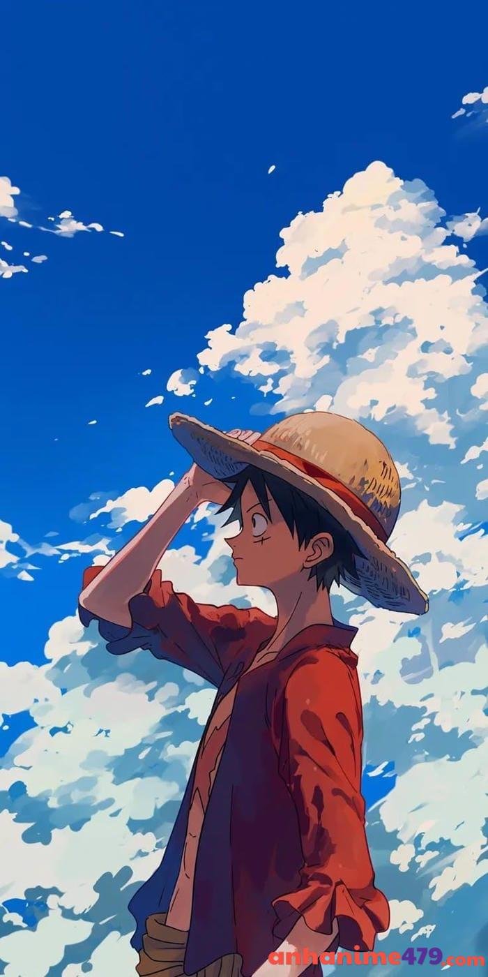 luffy thuyền trưởng băng hải tặc