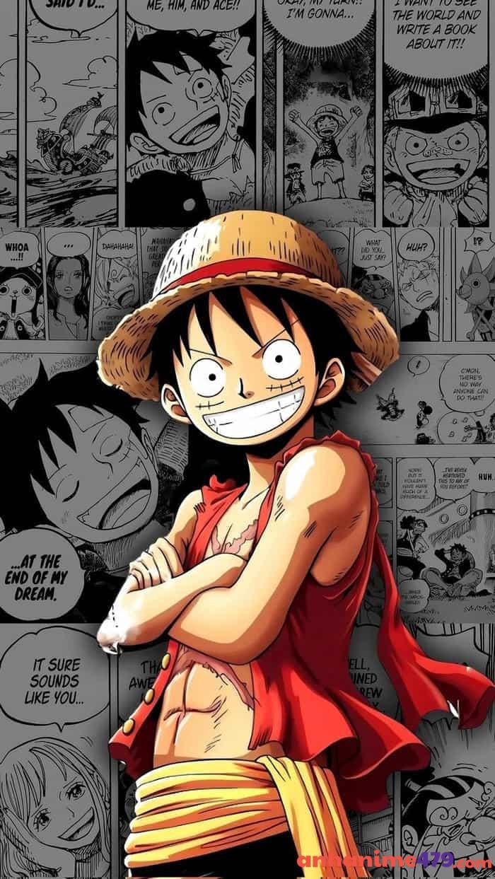 luffy truy tìm kho báu
