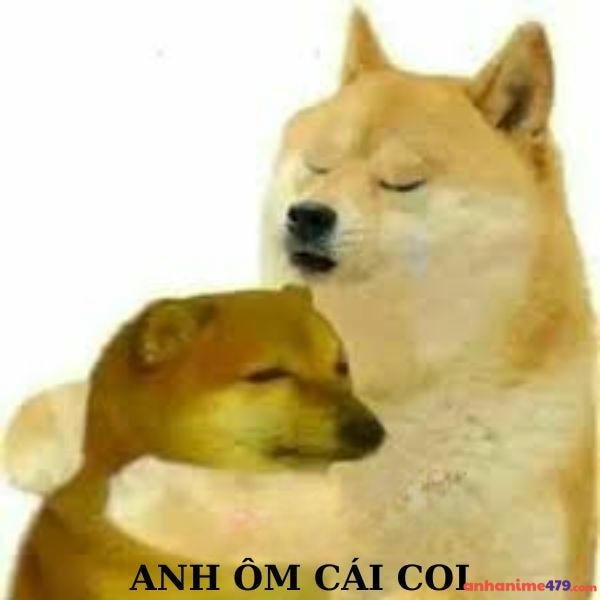meme an ủi chó