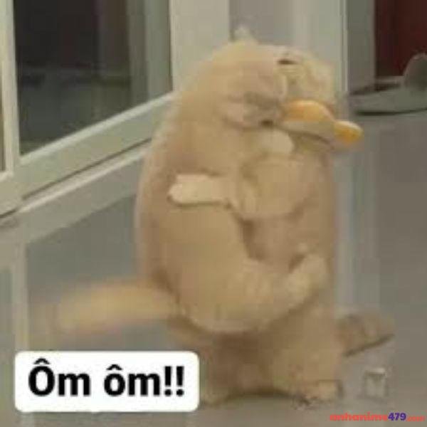 meme an ủi ôm ôm