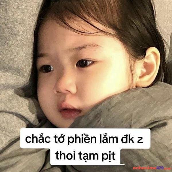 meme an ủi phiền